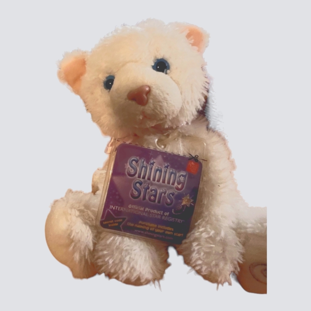 Name a Star Gift Teddy Bear Registry Stuffed Animal Plush Present Birthday